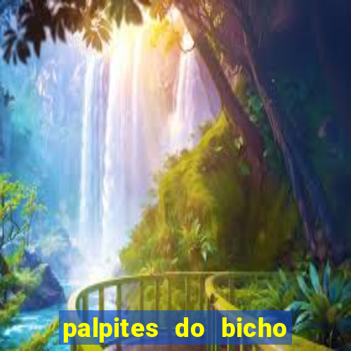 palpites do bicho no celular