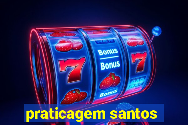 praticagem santos