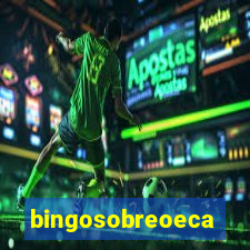 bingosobreoeca