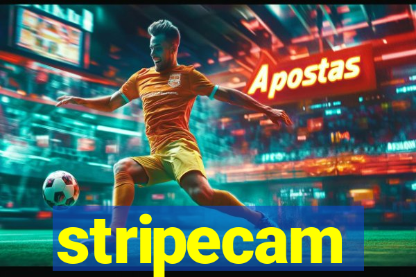 stripecam